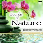 Sounds of Nature White Noise for Mindfulness Meditation and Relaxation