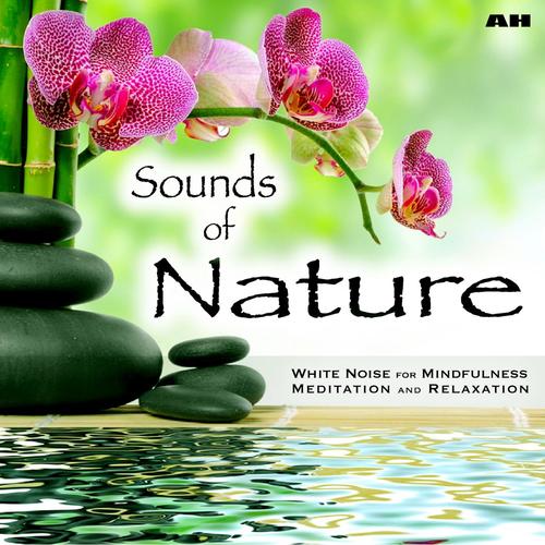 Sounds of Nature White Noise for Mindfulness Meditation