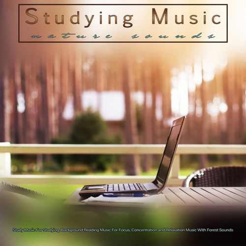 Music For Studying and Reading Comprehension