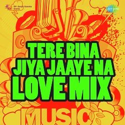 Tere Bina Jiya Jaaye Na Love Mix