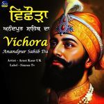 Vichora Anandpur Sahib Da