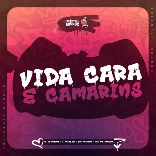 Vida Cara E Camarins (Slowed)