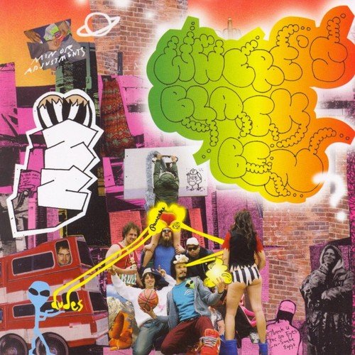 Badoosh + Seagull War = Die cover art