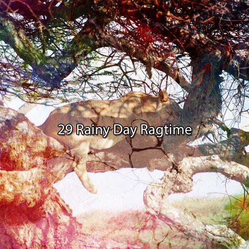 29 Rainy Day Ragtime