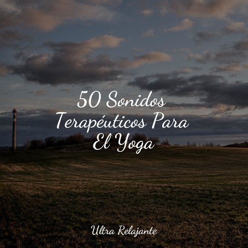 50 Sonidos Terapéuticos Para El Yoga_poster_image