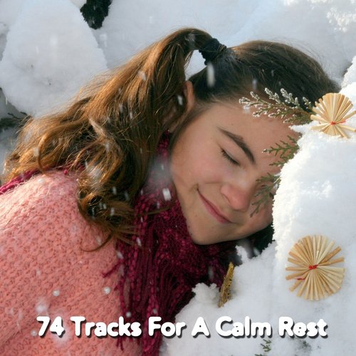 74 Tracks For A Calm Rest