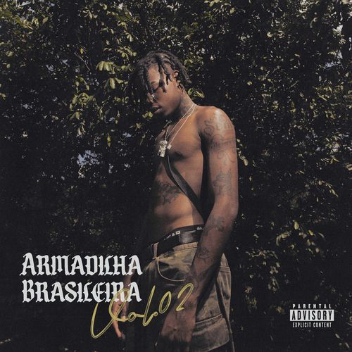 Armadilha Brasileira, Vol. 2