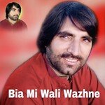 Bia Mi Wali Wazhne