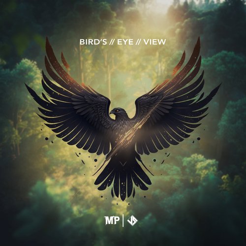 Bird&#039;s Eye View_poster_image