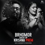 Brhomor Krishna Prem