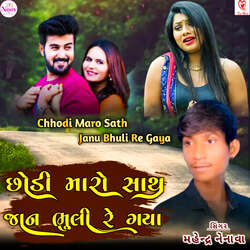 Chhodi Maro Sath Janu Bhuli Re Gaya-MQdZa0VcY10