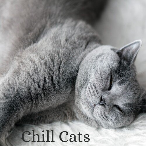 Cat Relax cover art