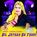 DIL JHTKA SU THODI