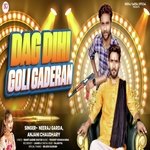 Daag Dihi Goli Gardan