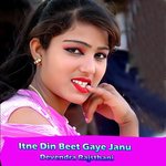 Itne Din Beet Gaye Janu