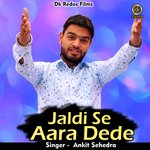 Jaldi Se Aara Dede (Hindi)