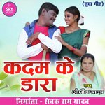Kadam Ke Dara (Chhattisgarhi Suwa Geet)