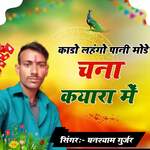 Kado lehango Pani mode chana kyaara mein