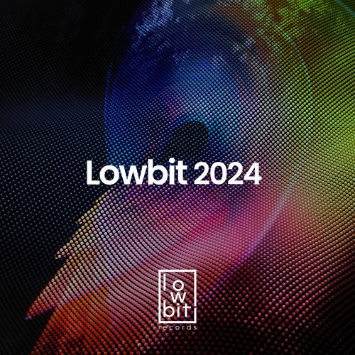 Lowbit 2024