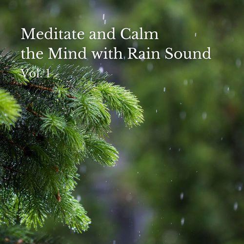 Meditate and Calm the Mind with Rain Sound Vol. 1