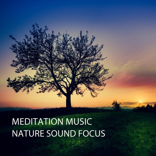 Meditation Music: Nature Sound Focus_poster_image