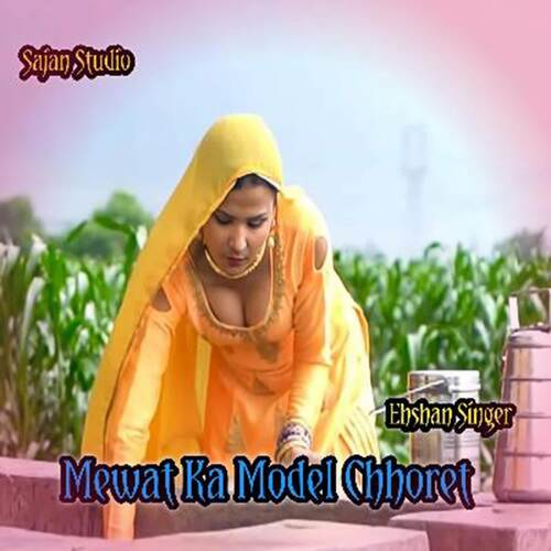 Mewat Ke Model Chhoret