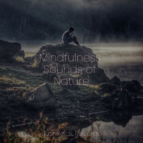 Mindfulness Sounds of Nature_poster_image