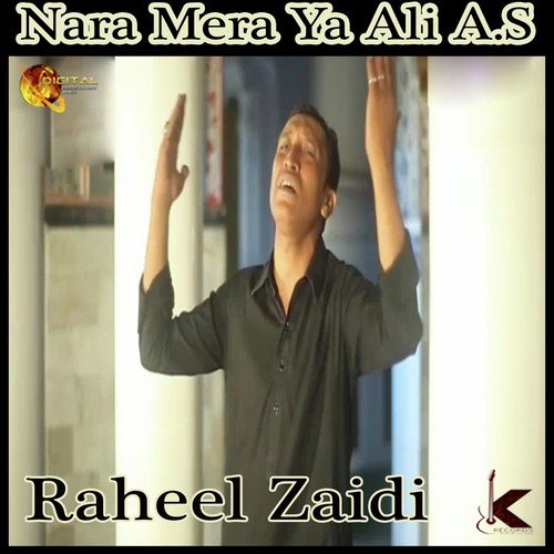 Raheel Zaidi