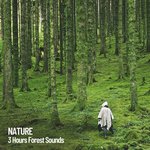 3 Hours of Nature Sounds