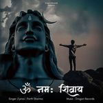 Om Namah Shivay