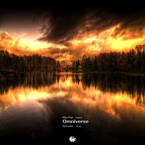 Omniverse (Dj Leoni Remix) cover art