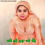 छाती हाले सरम आवे मोहे