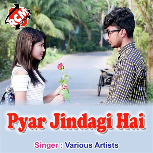 Pyar Jindagi Hai_poster_image