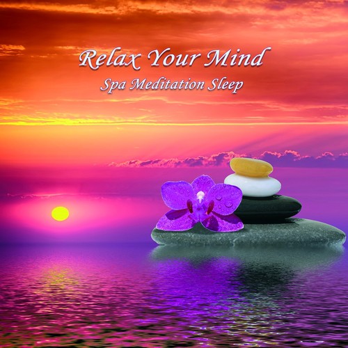 Relax Your Mind (Spa Meditation Sleep)_poster_image