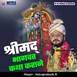 Shrimad Bhagwat Katha Karane artwork
