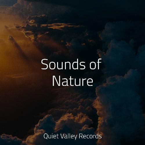 Sounds of Nature