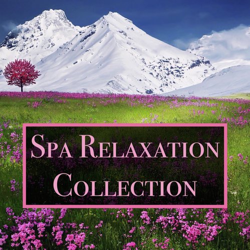 Spa Relaxation Collection - 20 Relaxing Water and Ocean Sounds for Deep Meditation, Massage, Yoga, Focus and Concentration