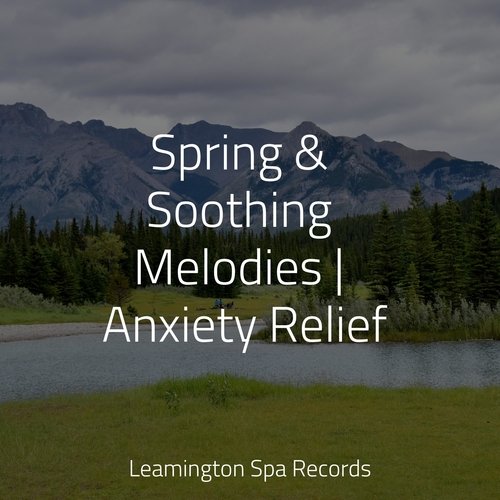 Spring & Soothing Melodies | Anxiety Relief