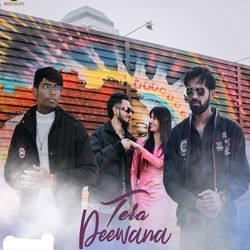 Tera Deewana