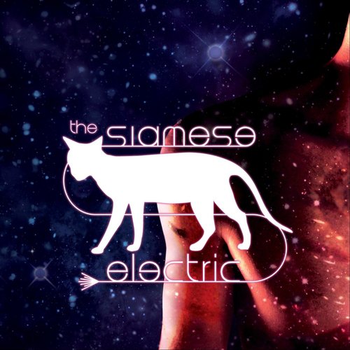 The Siamese Electric