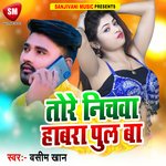 Tore Nichwa Habra Pul Ba (Bhojpuri)
