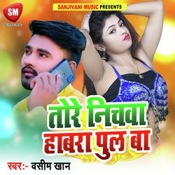 Tore Nichwa Habra Pul Ba (Bhojpuri)