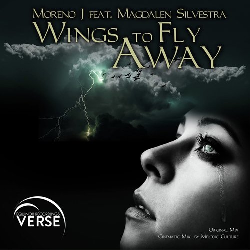 Wings To Fly Away (Melodic Culture Cinematic Mix) cover art