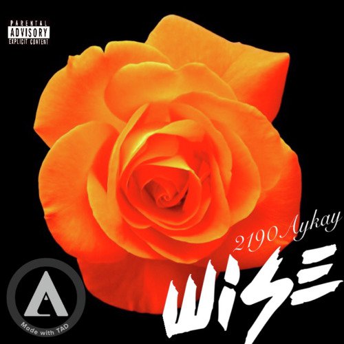 Wise cover art