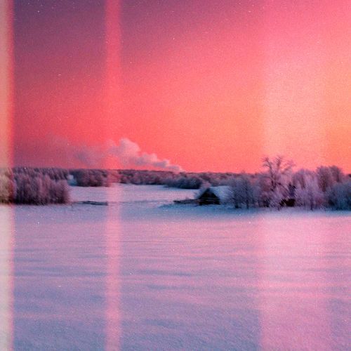 my dear winterland