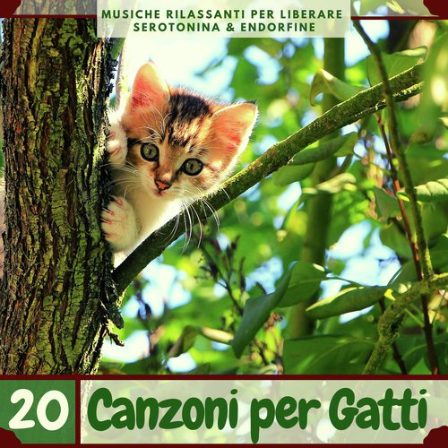 Musica terapeutica cover art