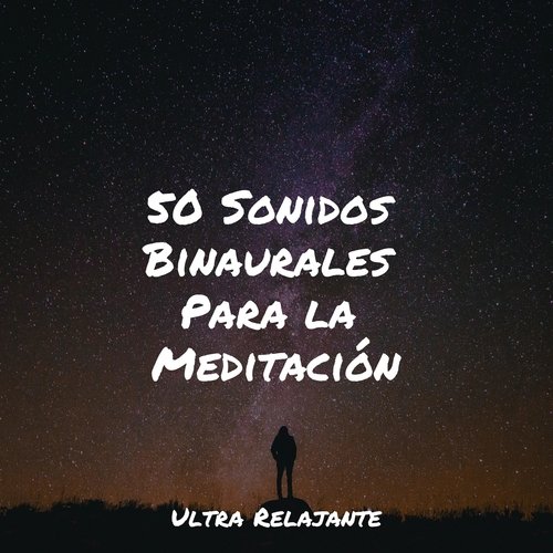 Trópicos Sin Fin