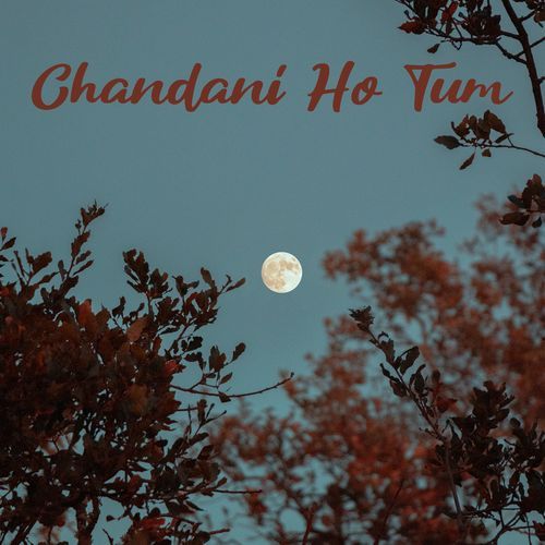 Chandani Ho Tum