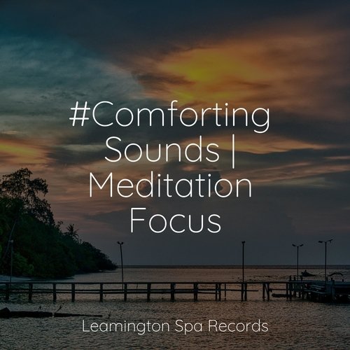Music for Meditation and Relaxation cover art