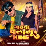 Garhwa Palamu Ke King